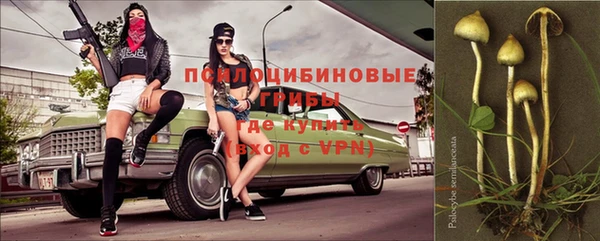ГАЛЛЮЦИНОГЕННЫЕ ГРИБЫ Магадан