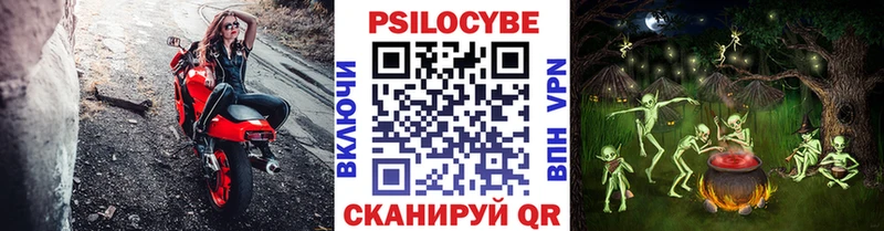 где купить   mega ТОР  Псилоцибиновые грибы Magic Shrooms  Наволоки 